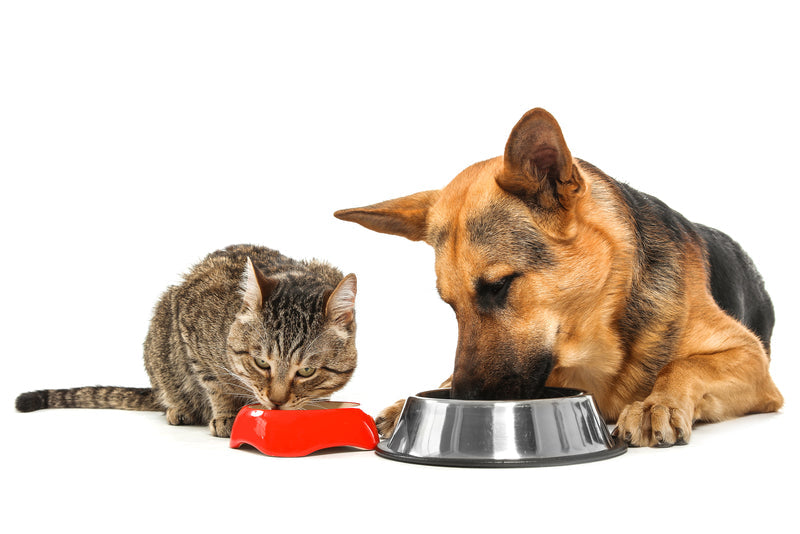 Pet Food - Ground Meat for your pets